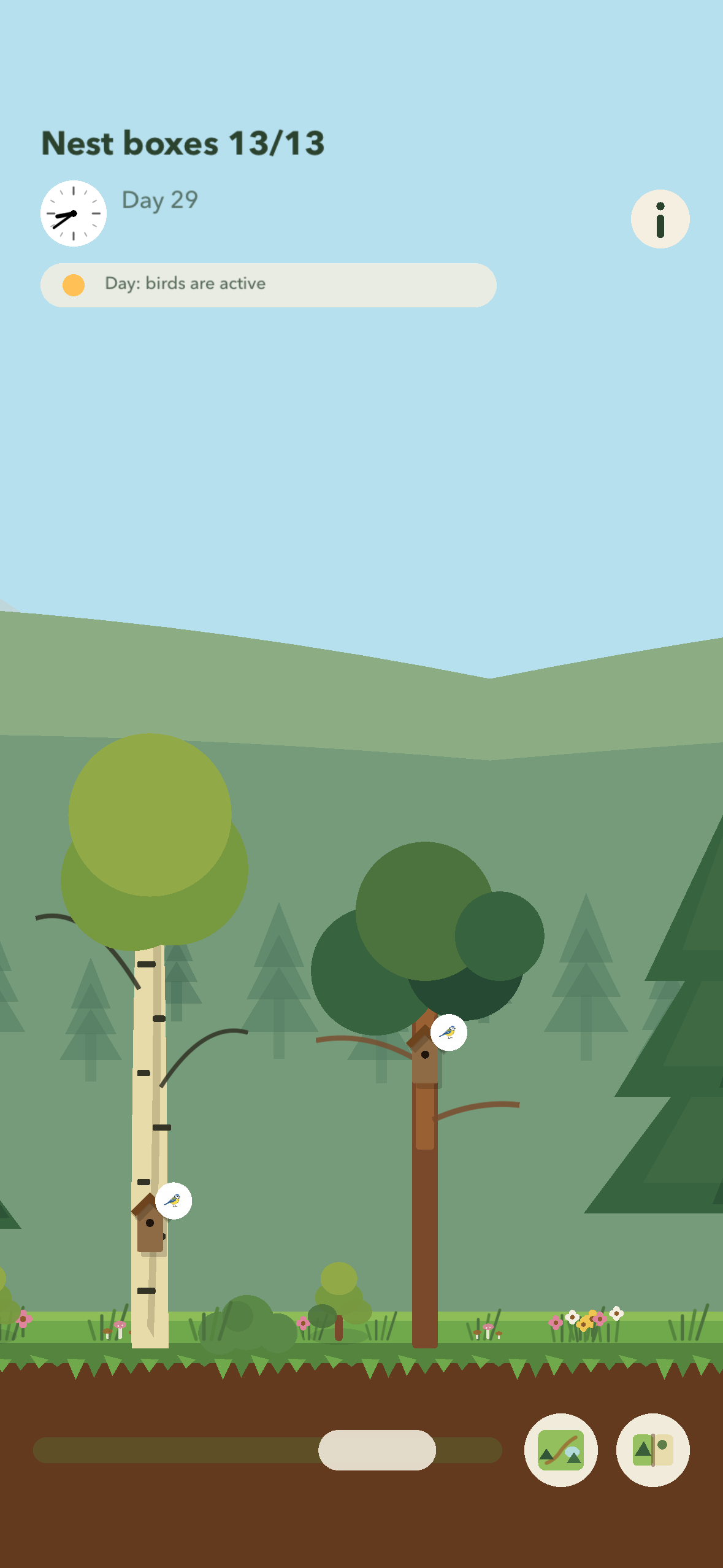 Forest view in Wing Valley with nest boxes in the trees